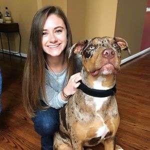 Meet your Posher, Amanda